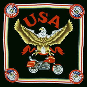 Eagle & Motorcycle