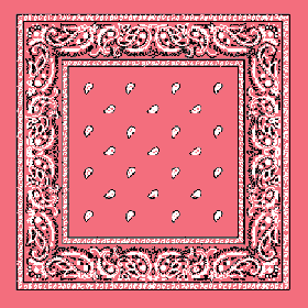 Pink Bandana