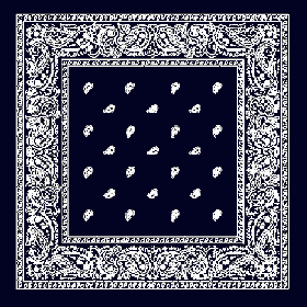 Sort Børne Bandana