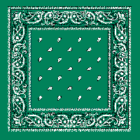Teal Bandana
